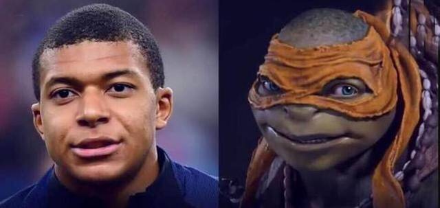 武汉体育学院公布资格审核结果，女足球员王霜报考体育专业博士（武汉体育学院发布资格审核结果：女足球员王霜报考体育学博士）